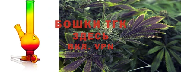 прущий лед Бородино