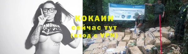 прущие крисы Бугульма