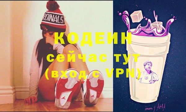 прущий лед Бородино