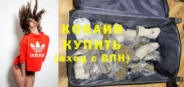 прущий лед Бородино