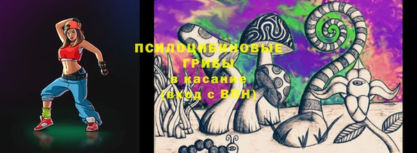 гашик Богородск
