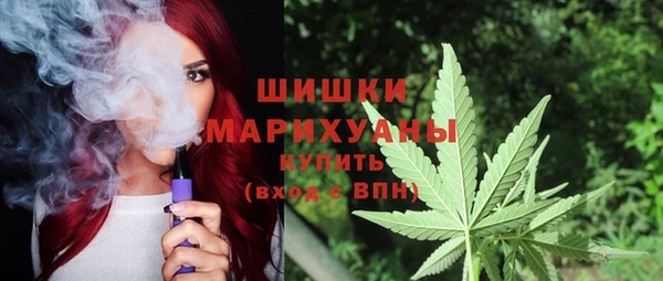 прущий лед Бородино