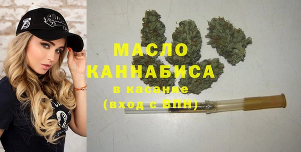 крисы Бронницы